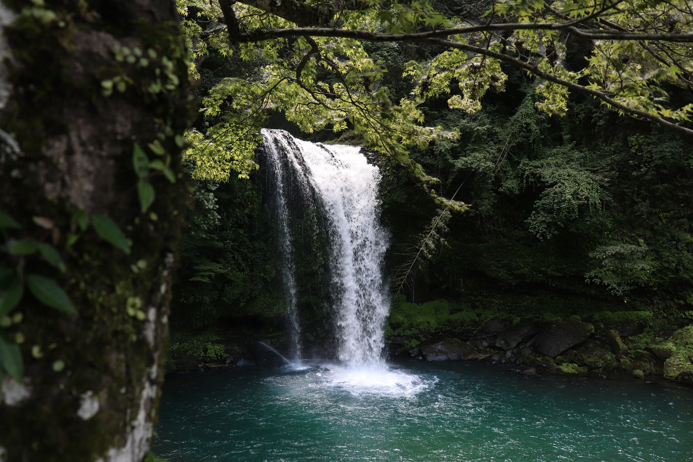 image image