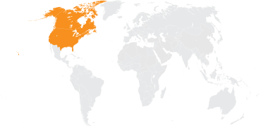 REGION EE.UU. / CANADA: ASPECTOS DESTACADOS DEL CUATRIENIO