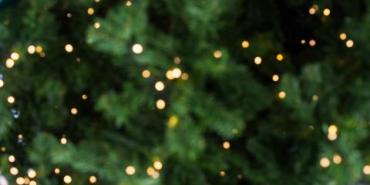 12 dias de Natal – Um Plano de Evangelismo Familiar