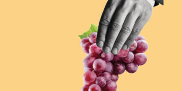 Un pequeño comienzo, una larga fidelidad