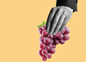 Un pequeño comienzo, una larga fidelidad