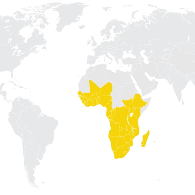 REGION DE AFRICA: ASPECTOS DESTACADOS DEL CUATRIENIO