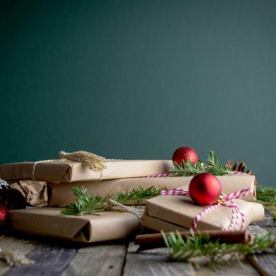 Devocionales del Tiempo de Navidad 
