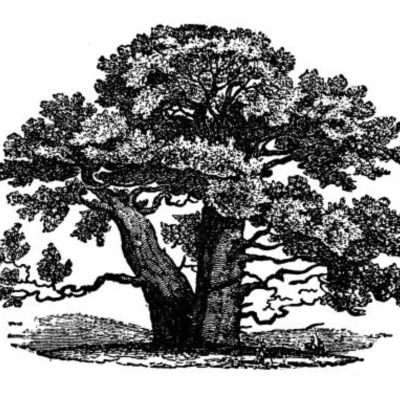 Notre arbre généalogique théologique