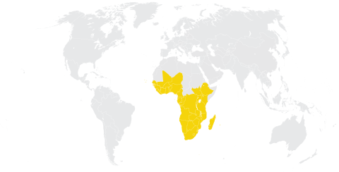 REGION DE AFRICA: ASPECTOS DESTACADOS DEL CUATRIENIO