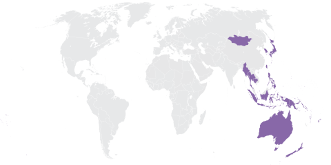 REGION ASIA-PACÍFICO: ASPECTOS DESTACADOS DEL CUATRIENIO