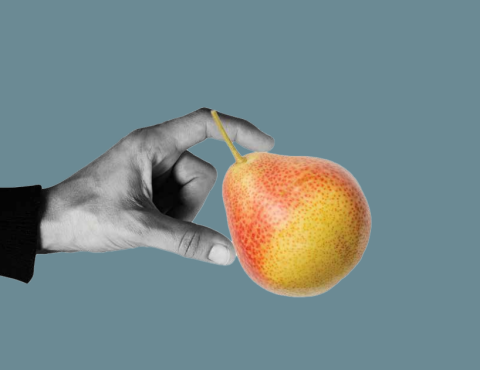 Más de donde vino eso