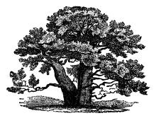 Our Theological Family Tree